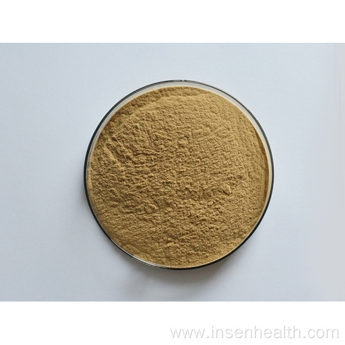 Hot Selling Natural Seaweed Extract Powder